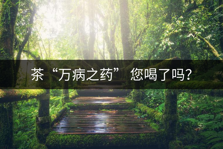 茶“萬病之藥” 您喝了嗎？