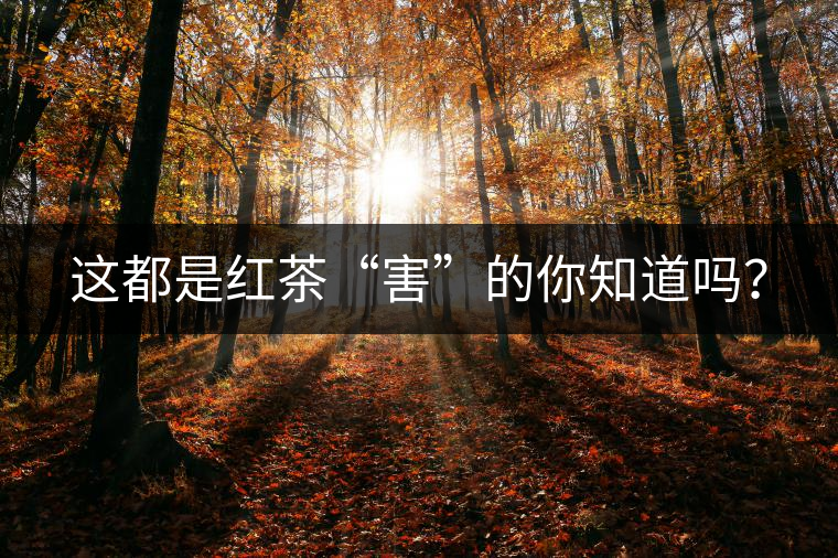 這都是紅茶“害”的你知道嗎？