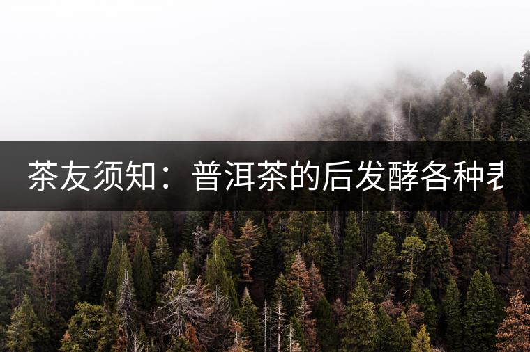 茶友須知：普洱茶的后發(fā)酵各種表現(xiàn) 喝普洱有益健康的奧妙所在！