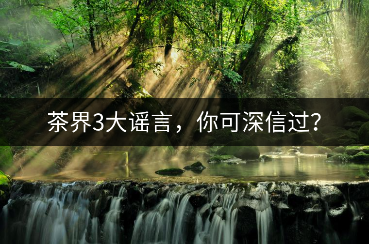 茶界3大謠言，你可深信過(guò)？