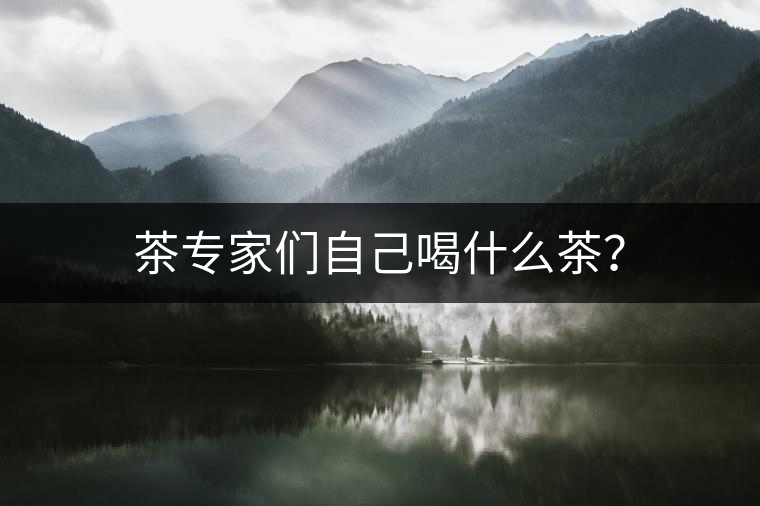 茶專家們自己喝什么茶？