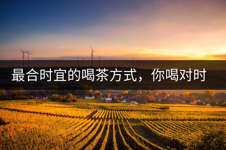 最合時宜的喝茶方式，你喝對時間了嗎？
