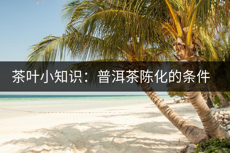 茶葉小知識(shí):普洱茶陳化的條件和方法 茶葉小知識(shí):普洱茶陳化的條件和方法