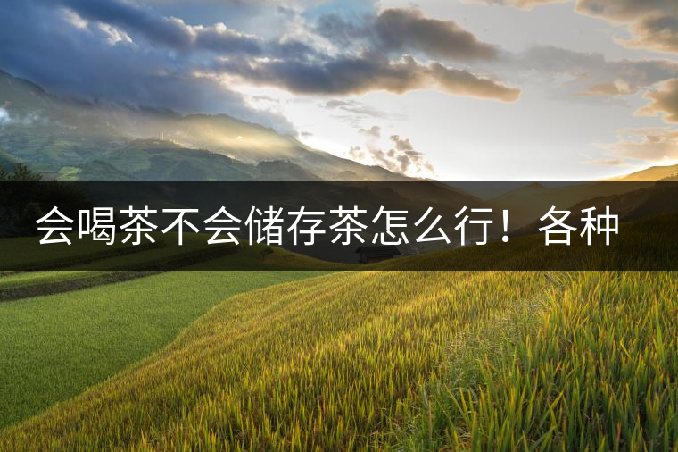 會喝茶不會儲存茶怎么行！各種存茶方法與技巧，把茶香留住