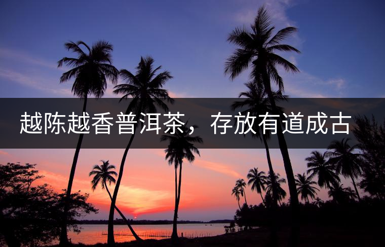 越陳越香普洱茶，存放有道成古董