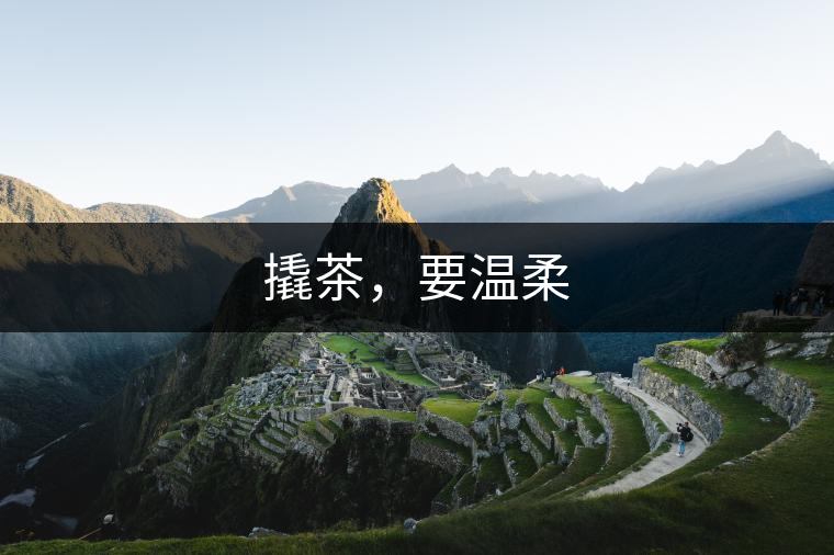 撬茶，要溫柔