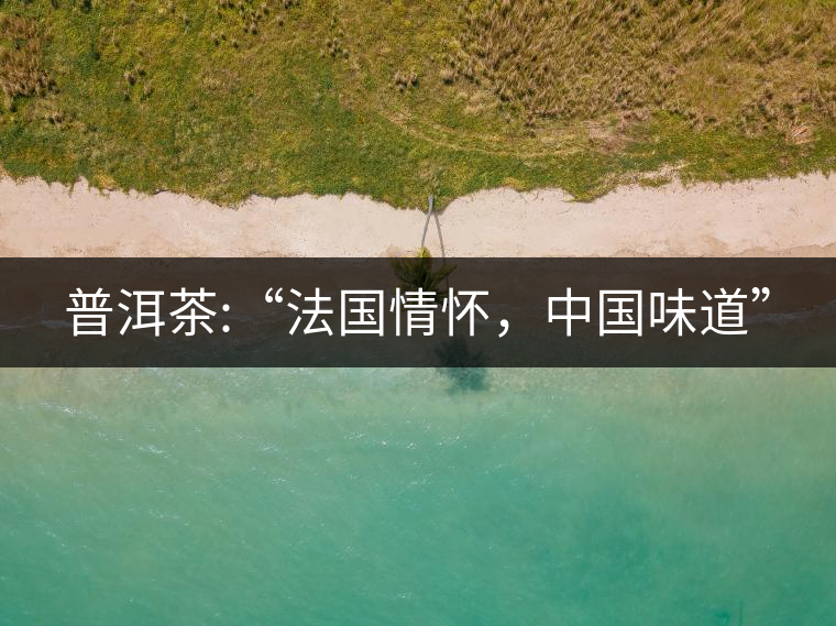 普洱茶:“法國(guó)情懷，中國(guó)味道”