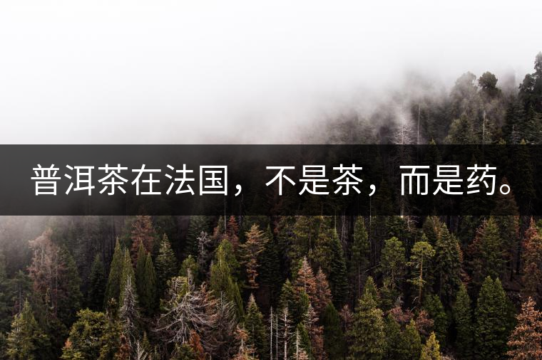 普洱茶在法國，不是茶，而是藥。