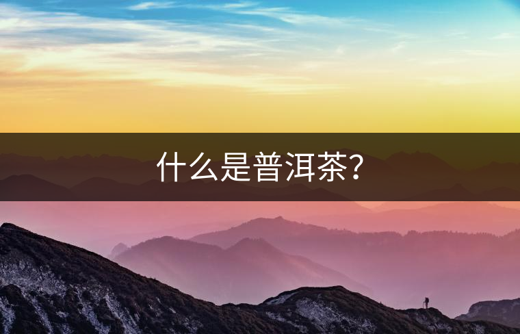 什么是普洱茶？