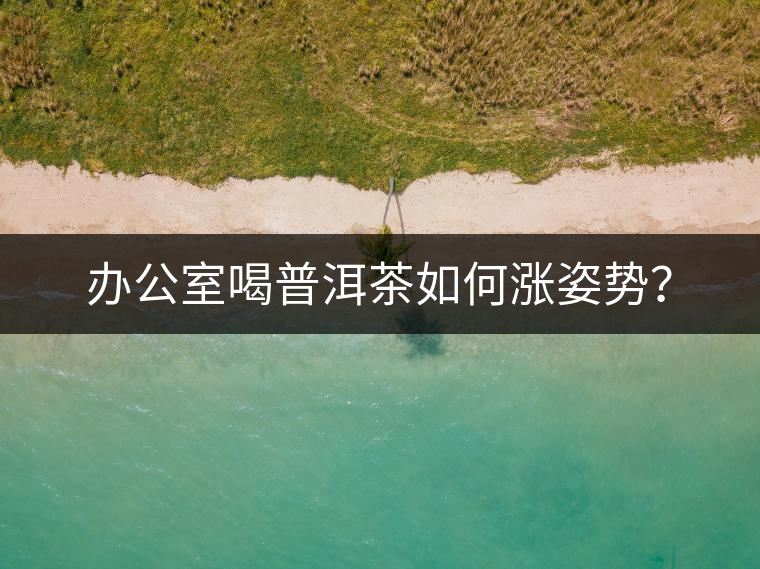 辦公室喝普洱茶如何漲姿勢？