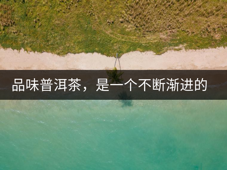 品味普洱茶，是一個(gè)不斷漸進(jìn)的過(guò)程