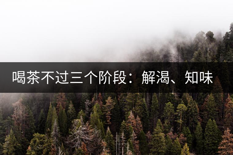喝茶不過三個(gè)階段：解渴、知味、怡情