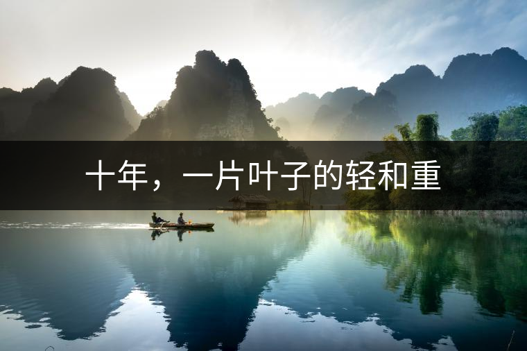 十年，一片葉子的輕和重