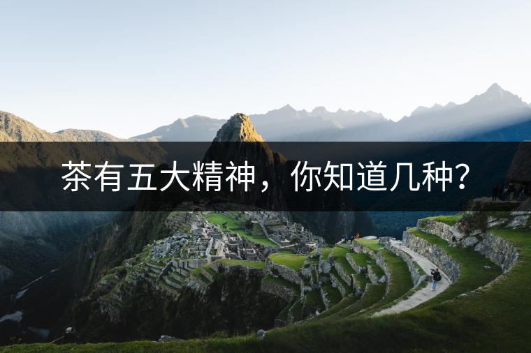 茶有五大精神，你知道幾種？