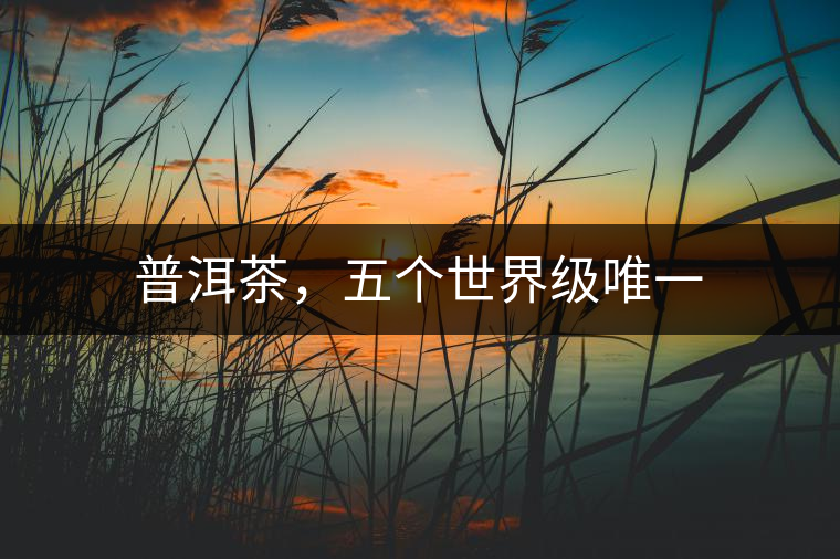 普洱茶，五個(gè)世界級(jí)唯一