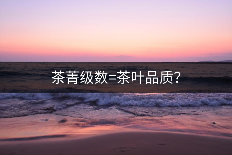 茶菁級數(shù)=茶葉品質(zhì)？