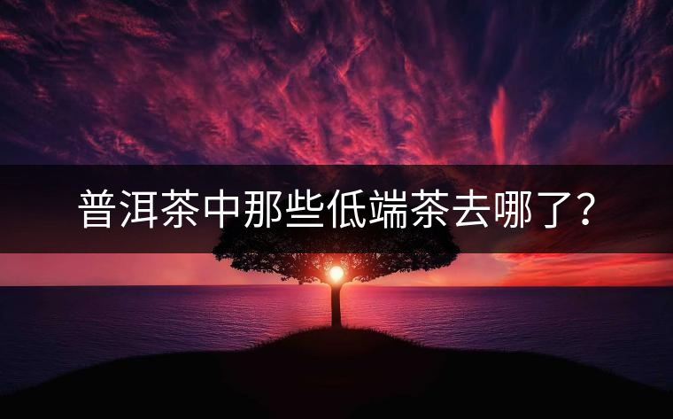 普洱茶中那些低端茶去哪了？