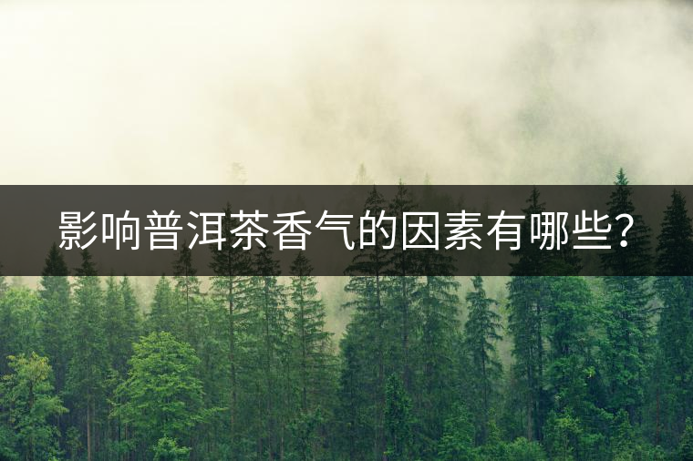 影響普洱茶香氣的因素有哪些？