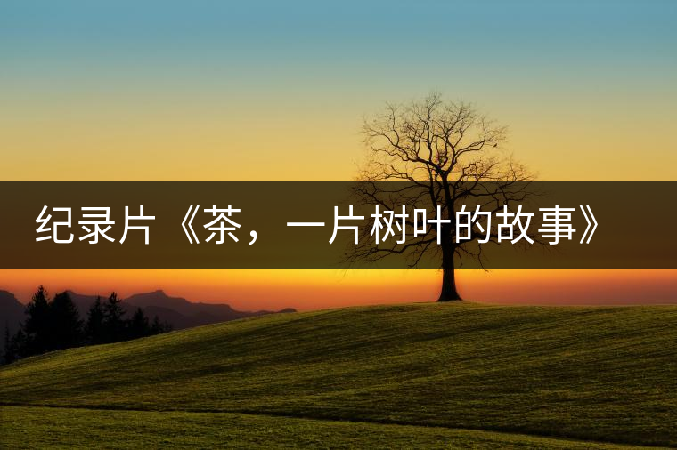 紀(jì)錄片《茶，一片樹葉的故事》 茶文化的詩意追尋