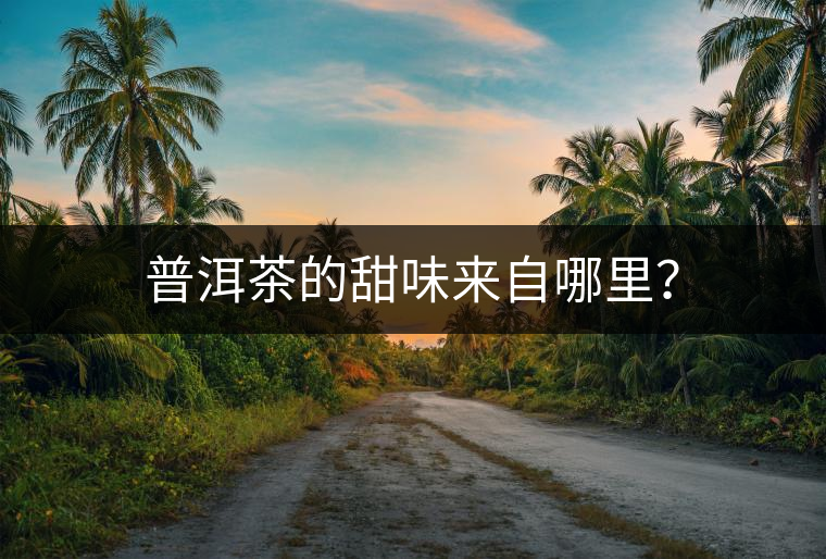 普洱茶的甜味來自哪里？