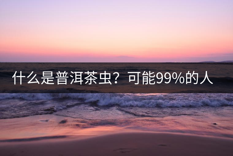 什么是普洱茶蟲？可能99%的人都不知道