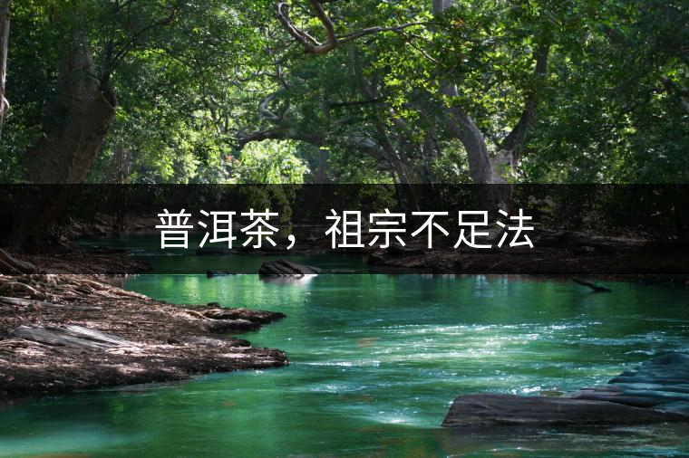 普洱茶，祖宗不足法