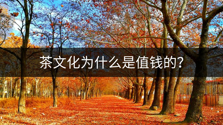 茶文化為什么是值錢的？