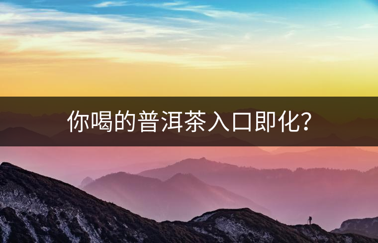 你喝的普洱茶入口即化？