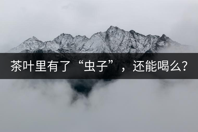 茶葉里有了“蟲子”，還能喝么？