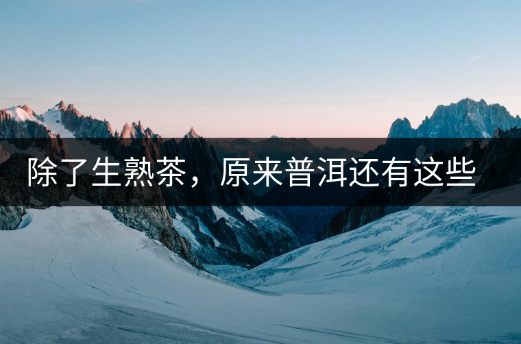 除了生熟茶，原來普洱還有這些鮮為人知的“寶貝”！