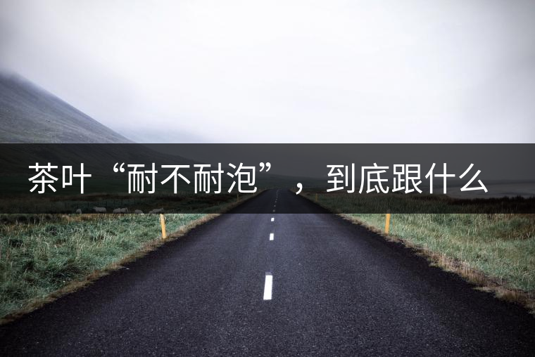 茶葉“耐不耐泡”，到底跟什么有關？