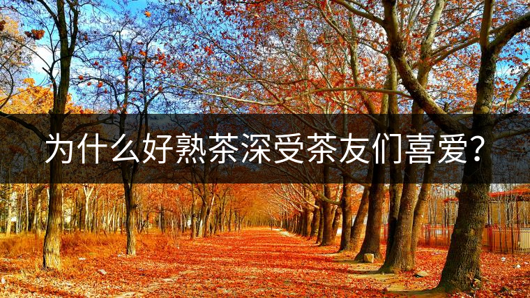 為什么好熟茶深受茶友們喜愛？