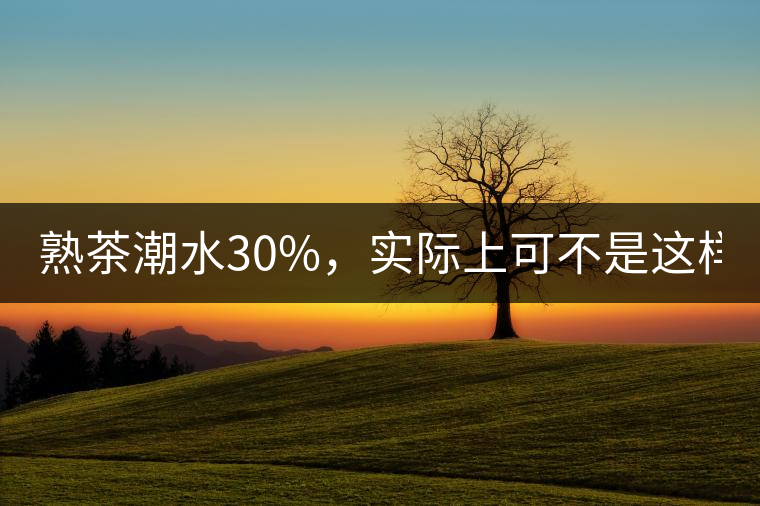熟茶潮水30%，實(shí)際上可不是這樣！