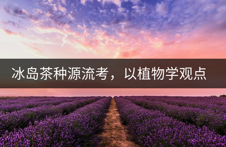 冰島茶種源流考，以植物學(xué)觀點解讀冰島茶