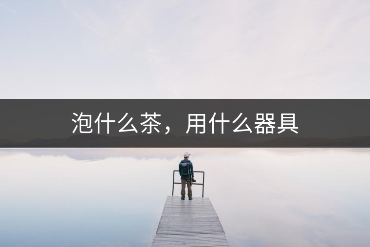 泡什么茶，用什么器具