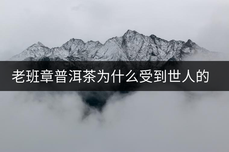 老班章普洱茶為什么受到世人的追捧 老班章普洱茶為什么受到世人的追捧