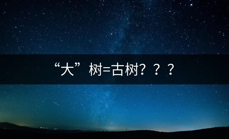 “大”樹=古樹？？？