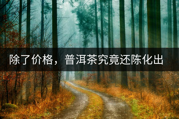 除了價格，普洱茶究竟還陳化出了啥？