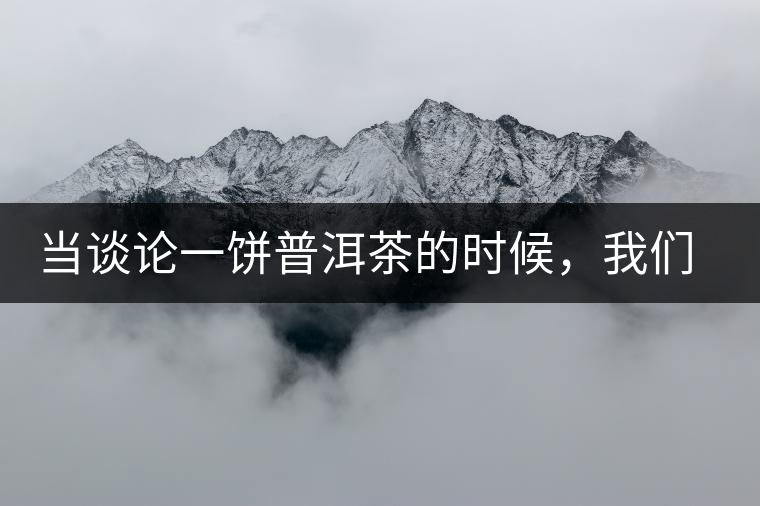 當談論一餅普洱茶的時候，我們該談些什么？
