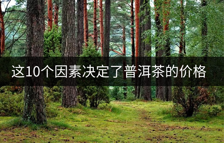 這10個因素決定了普洱茶的價格？