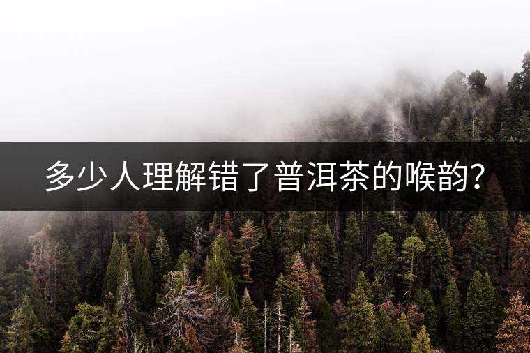 多少人理解錯了普洱茶的喉韻？