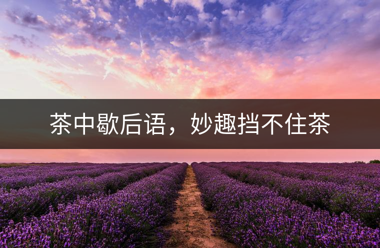 茶中歇后語，妙趣擋不住茶