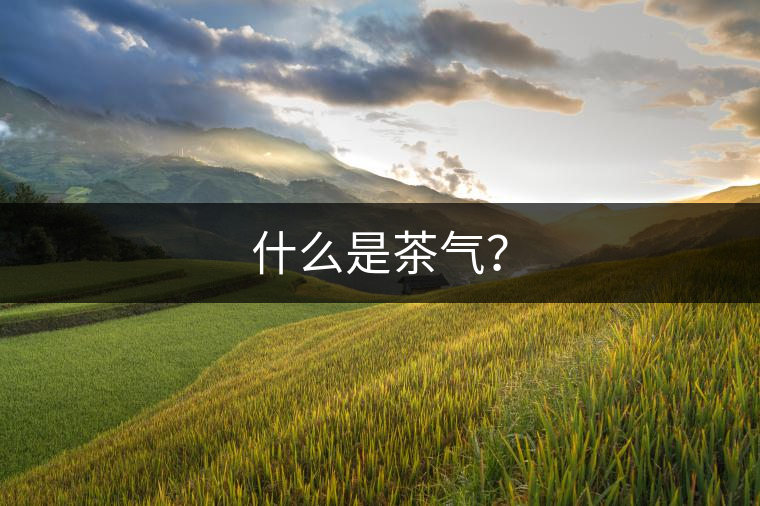 什么是茶氣？