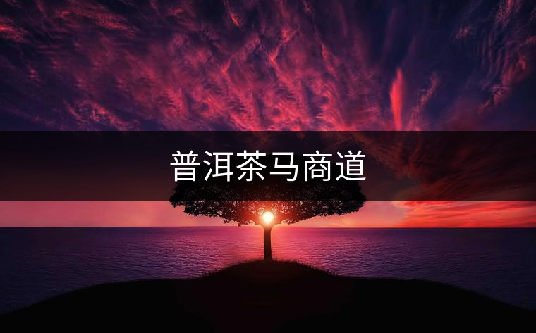 普洱茶馬商道