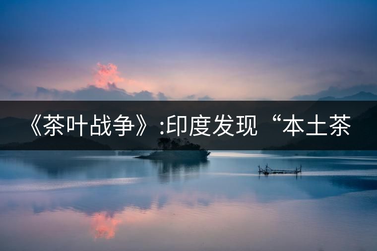 《茶葉戰(zhàn)爭(zhēng)》:印度發(fā)現(xiàn)“本土茶樹”