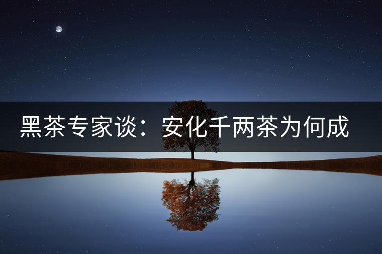 黑茶專家談：安化千兩茶為何成“世界茶王”？