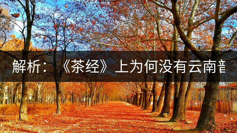 解析：《茶經(jīng)》上為何沒(méi)有云南普洱茶 ？