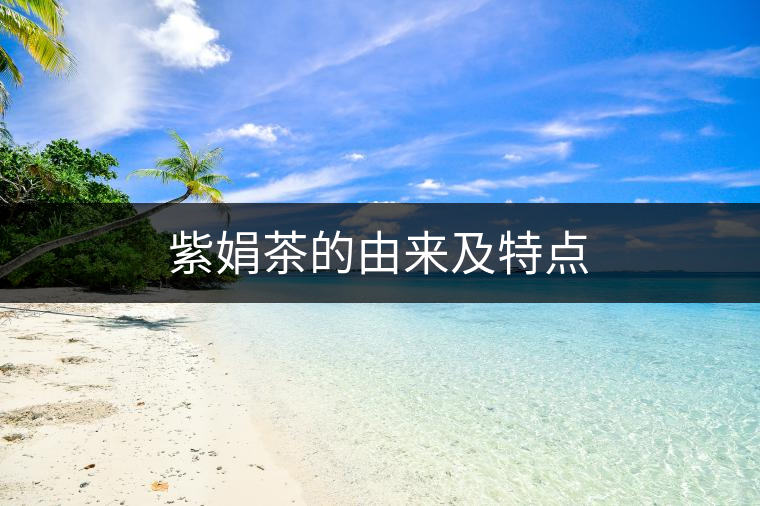 紫娟茶的由來(lái)及特點(diǎn)