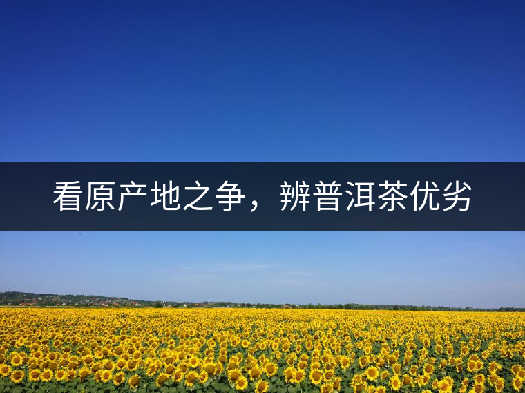 看原產(chǎn)地之爭(zhēng)，辨普洱茶優(yōu)劣