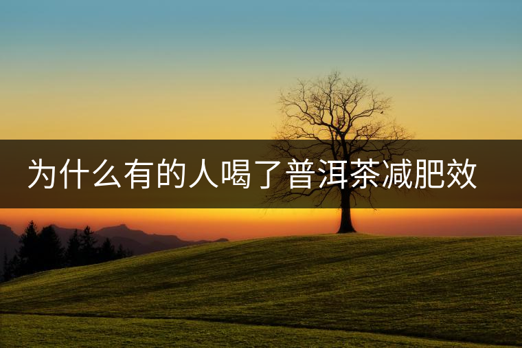 為什么有的人喝了普洱茶減肥效果不明顯呢？